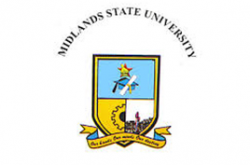 Midlands State University