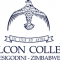 Falcon College