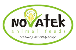 Novatek