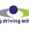 Ring Driving School