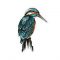 Kingfisher Prints