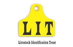 livestock identification trust