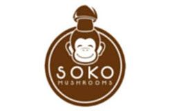 soko mushrooms