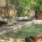 Hippo Pools Wilderness Camp