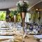 Campo Grande Events