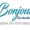 Bonjour-Zim Events and Entertainment
