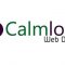 Calmlock Website Design