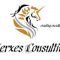 Xerxes Consulting