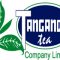 Tanganda Tea Company