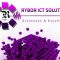 RYBOR ICT SOLUTIONS