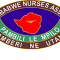 Zimbabwe Nurses Association