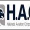 Halsteds Aviation Corporation