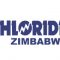 Chloride Zimbabwe