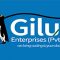 Giluc Enterprises