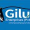 Giluc Enterprises