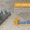 Guardian Cleaning Services