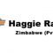 HAGGIE RAND ZIMBABWE