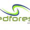 Jedforest Enterprise