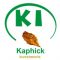 Kaphick Investments