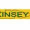 Kinsey WGB and Company Pvt Ltd.