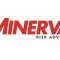 Minerva