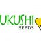 Mukushi Seeds