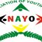 National Association of Youth Organisations