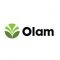 Olam