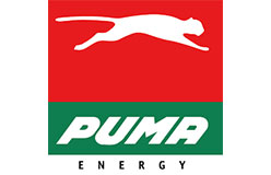 Puma1543051043