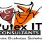 Putex IT Consultants