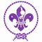 The Scout Association of Zimbabwe
