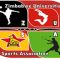 Zimbabwe Universities Sports Association