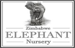 ZimbabweElephantNursery1540547570
