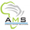 African Mining Solutions