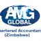 AMG Global Chartered Accountants