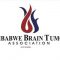 Zimbabwe Brain Tumor Association