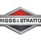 BRIGGS & STRATTON