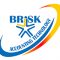 Brisk Consultancy and Business Services