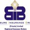 Broksure Insurance Brokers