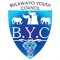 Bulawayo Youth Council