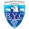 Bulawayo Youth Council