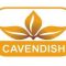 Cavendish Lloyd Zimbabwe