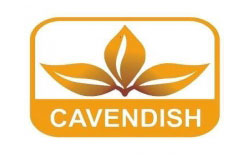 cavendish1556351927