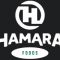 Hamara Foods