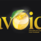 Yellowbottle