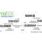 Springtide Consultancy