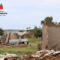 Zimbabwe Human Rights NGO