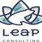 Leap Consulting Firm