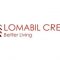 Lomabil Credit