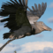 Mavros Safaris